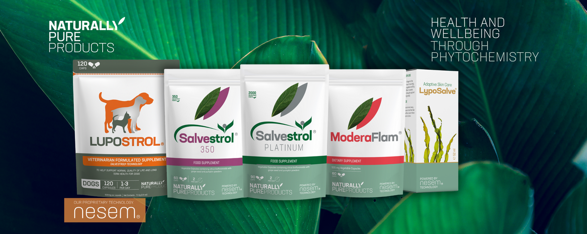 Products powered by nesem technology
